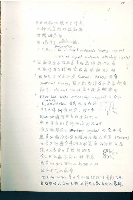 麻豆社