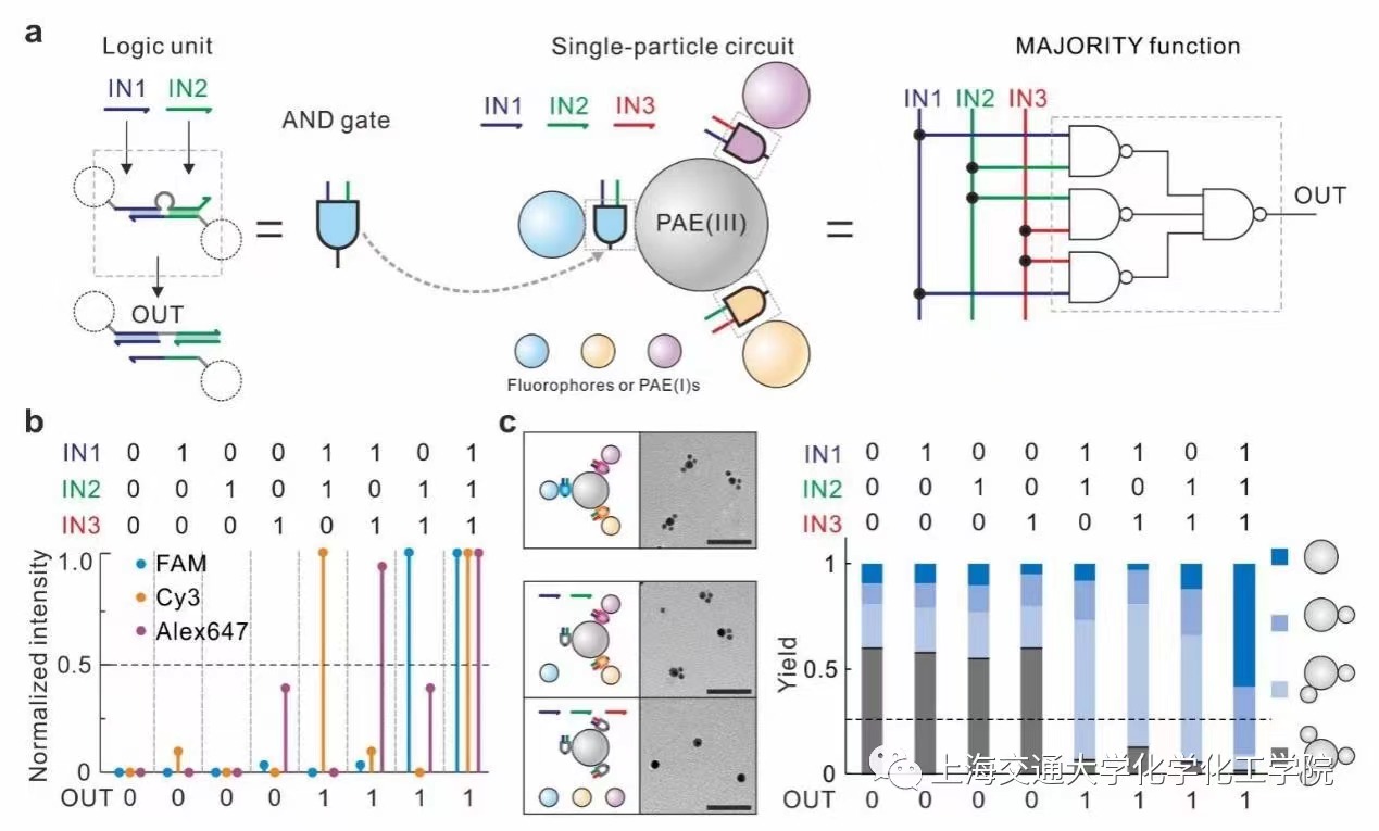 1634870350577507.jpg B.jpg