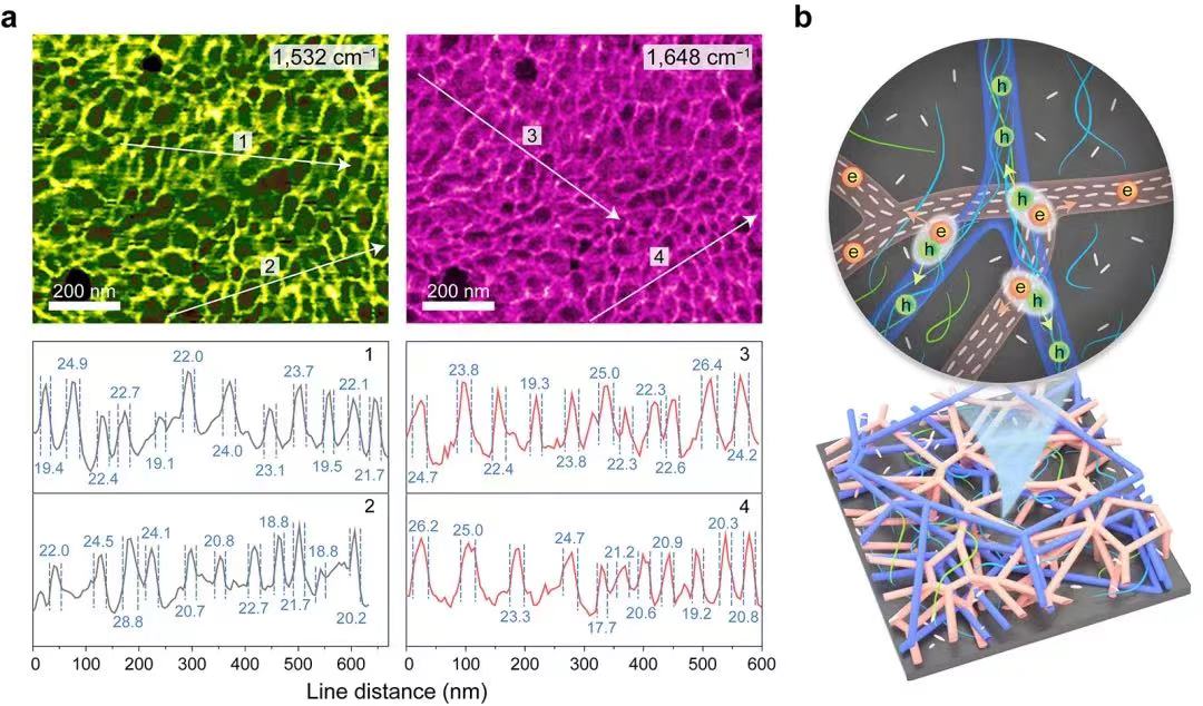 1651932104301351.jpg 4.jpg