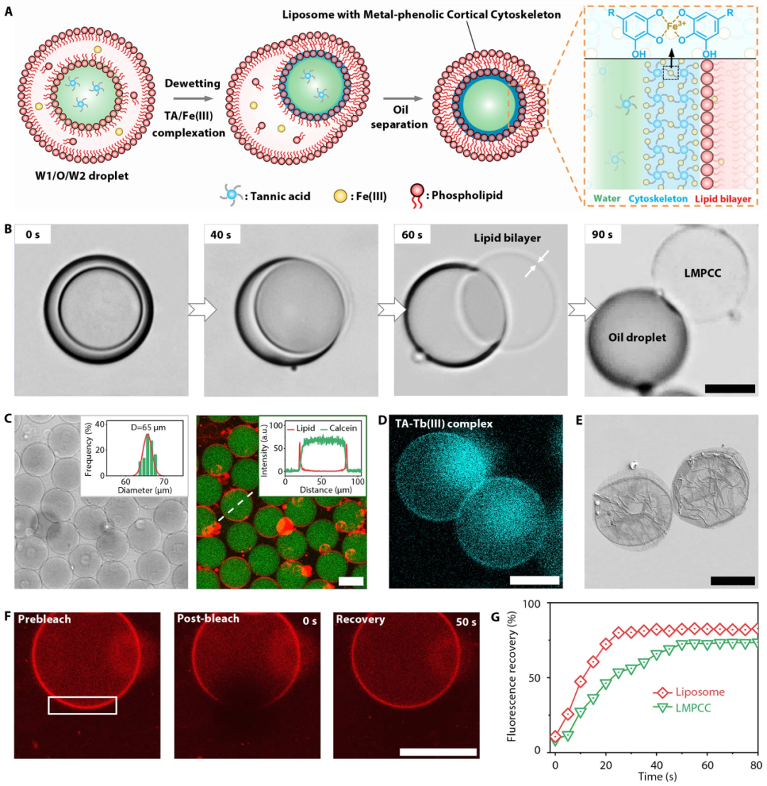 1708565208412489.png 图片 2.png