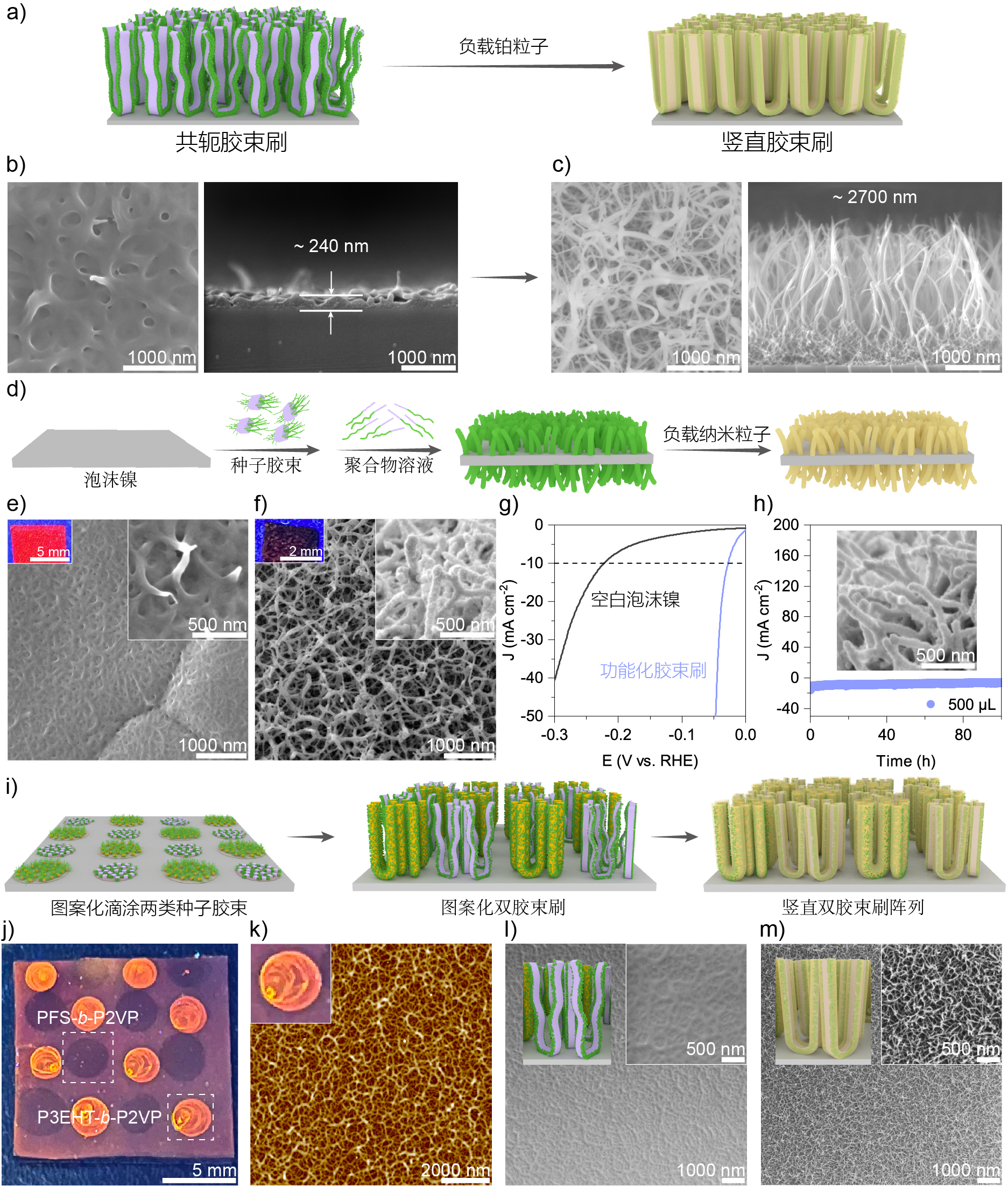 1708996872454676.png 00.png