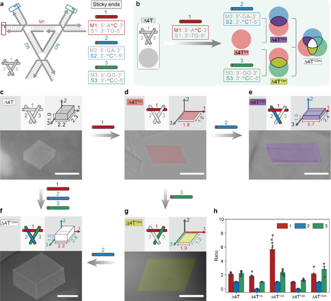 1710209504771303.png 90.png