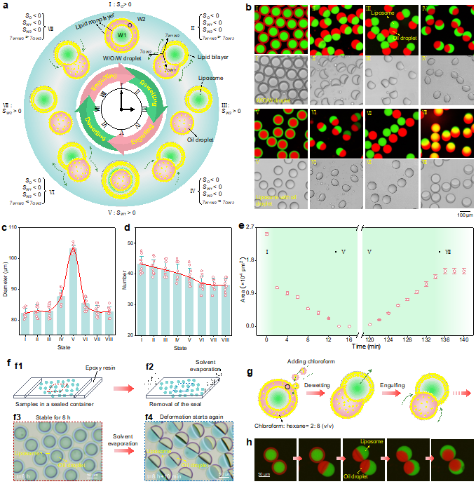 1720170490781605.png 图片 1.png
