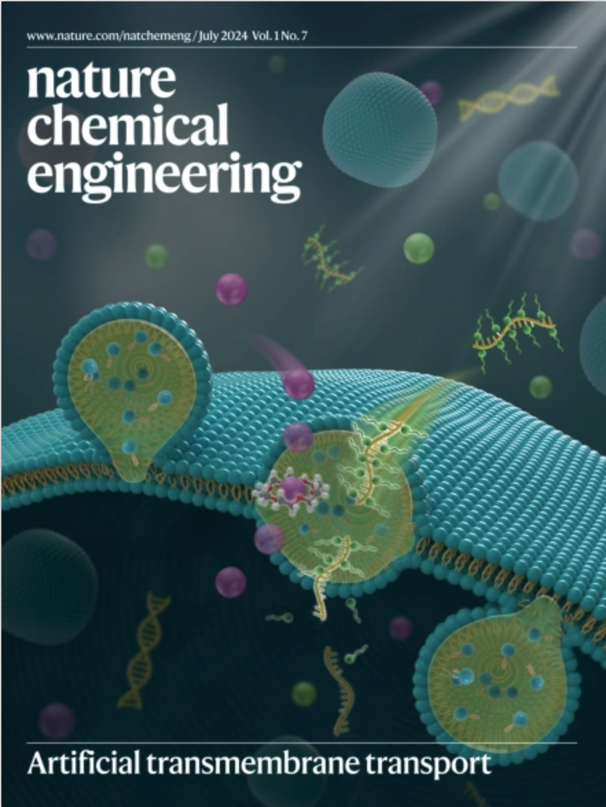 1721914898788850.png 1721914898788850.png