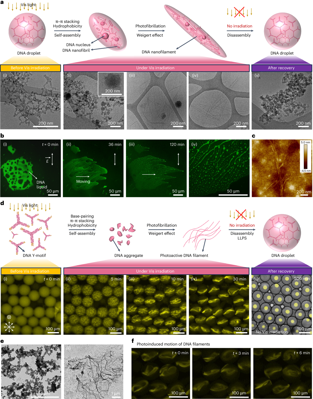 1744250144942611.png 4.png