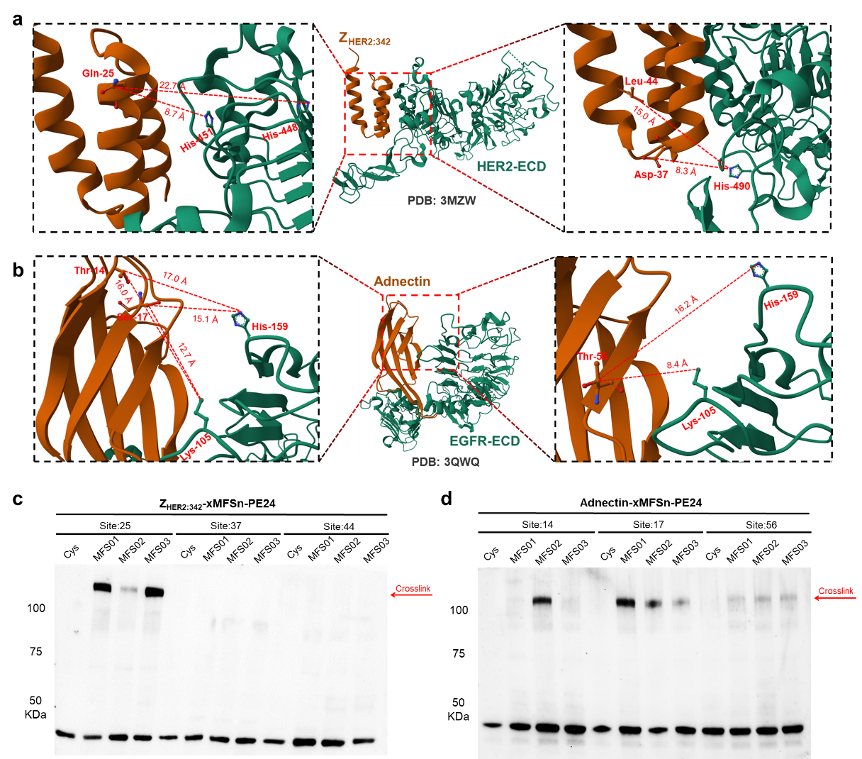 1749449975351565.png 图片11.png